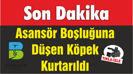 Asansör Boşluğuna Düşen Köpek Boğulmaktan Kurtarıldı