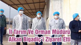 İl Tarım Ve Orman Müdürü Alkan Bigadiç’i Ziyaret Etti