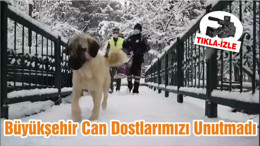 Büyükşehir Can Dostlarımızı Unutmadı