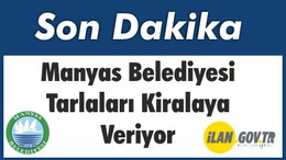 Manyas Belediyesi Tarlaları Kiraya Veriyor
