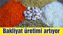Bakliyat üretimi sağlanan desteklerle artıyor