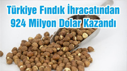 Türkiye Fındık İhracatından 924 Milyon Dolar Kazandı