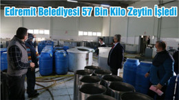 Edremit Belediyesi’ne Ait 57 Bin Kilo Zeytin İşlendi