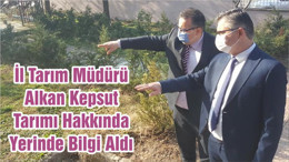 İl Tarım Müdürü Alkan Kepsut Tarımı Hakkında Yerinde Bilgi Aldı