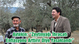 Aytekin: “Zeytinyağı İhracatı Enflasyonu Arttırır Diye Yasaklandı ”