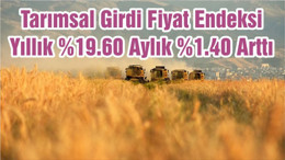 Tarımsal Girdi Fiyat Endeksi Yıllık %19.60 Aylık %1.40 Arttı