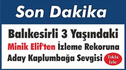 Balıkesirli 3 Yaşındaki Minik Elif'ten İzleme Rekoruna Aday Kaplumbağa Sevgisi