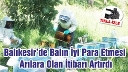 Balıkesir’de Balın İyi Para Etmesi Arılara Olan İtibarı Artırdı