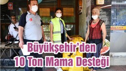 Büyükşehir’den 10 Ton Mama Desteği