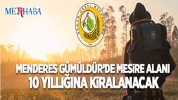 Menderes Gümüldür'de C Tipi Mesire Alanı 10 Yıllığına Kiraya Verilecek