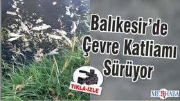 Balıkesir’de Çevre Katliamı Sürüyor