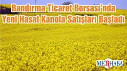 Bandırma Ticaret Borsası’nda Yeni Hasat Kanola Satışları Başladı