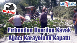 Fırtınadan Devrilen Kavak Ağacı Karayolunu Kapattı