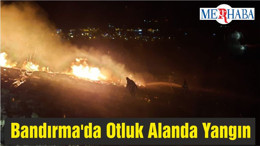 Bandırma'da Otluk Alanda Yangın