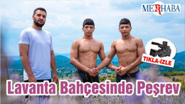 Lavanta Bahçesinde Peşrev