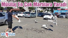 Müsilaj En Çok Martılara Yaradı