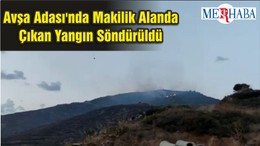 Avşa Adası'nda Makilik Alanda Çıkan Yangın Söndürüldü