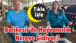 Balıkesir'de Hayvancılık Nereye Gidiyor?