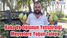 Baba Ve Oğlunun Yetiştirdiği Meyvelere Yoğun Talep
