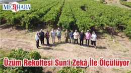 Üzüm Rekoltesi Sun'i Zekâ İle Ölçülüyor