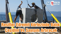 Resifler Edremit Körfezinde Balık Çeşidini Ve Sayısını Artıracak