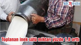 Toplanan inek sütü miktarı yüzde 1.8 arttı