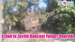 Erdek’te Zeytin Bahçesi Yolları Onarıldı