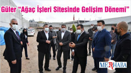 Güler “Ağaç İşleri Sitesinde Gelişim Dönemi”