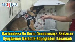 Davlumbaza Ve Derin Dondurucuya Saklanan Uyuşturucu Narkotik Köpeğinden Kaçamadı