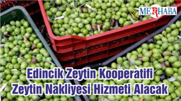 Edincik Zeytin Kooperatifi Zeytin Nakliyesi Hizmeti Alacak