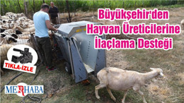 Büyükşehir'den Hayvan Üreticilerine İlaçlama Desteği