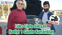 Lüks Cipte Sıkışan Kediyi 1 Saatte Kurtardılar