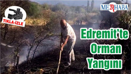 Edremit’te Orman Yangını