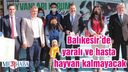 Balıkesir’de yaralı ve hasta hayvan kalmayacak