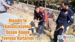 Bigadiç'te Kanalizasyona Düşen Köpek Yavrusu Kurtarıldı