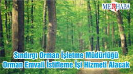 Sındırgı Orman İşletme Müdürlüğü Orman Emvali İstifleme İşi Hizmeti Alacak