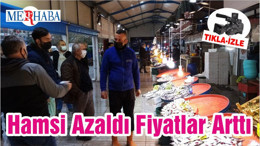 Hamsi Azaldı Fiyatlar Arttı