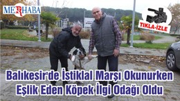 Balıkesir'de İstiklal Marşı Okunurken Eşlik Eden Köpek İlgi Odağı Oldu
