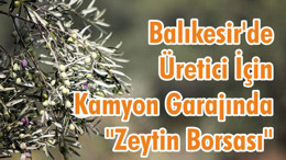 Balıkesir'de Üretici İçin Kamyon Garajında "Zeytin Borsası"