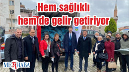 Hem sağlıklı hem de gelir getiriyor