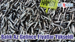 Balık Az Gelince Fiyatlar Yükseldi