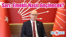 Sarı: Emekli Nasıl Geçinecek?