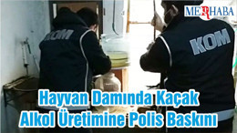 Hayvan Damında Kaçak Alkol Üretimine Polis Baskını