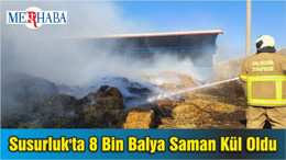 Susurluk'ta 8 Bin Balya Saman Kül Oldu