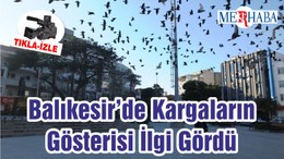Balıkesir’de Kargaların Gösterisi İlgi Gördü