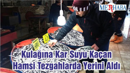 Kulağına Kar Suyu Kaçan Hamsi Tezgahlarda Yerini Aldı