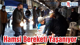 Hamsi Bereketi Yaşanıyor