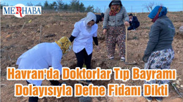 Havran'da Doktorlar Tıp Bayramı Dolayısıyla Defne Fidanı Dikti