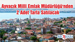 Ayvacık Milli Emlak Müdürlüğü'nden 2 Adet Tarla Satılacak
