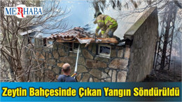 Balıkesir'de Zeytin Bahçesinde Çıkan Yangın Söndürüldü